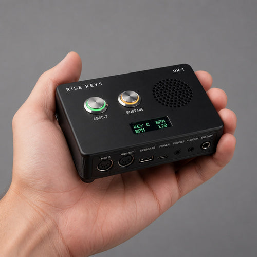 The RK-1 held in one hand, showing its size and every socket on the front panel