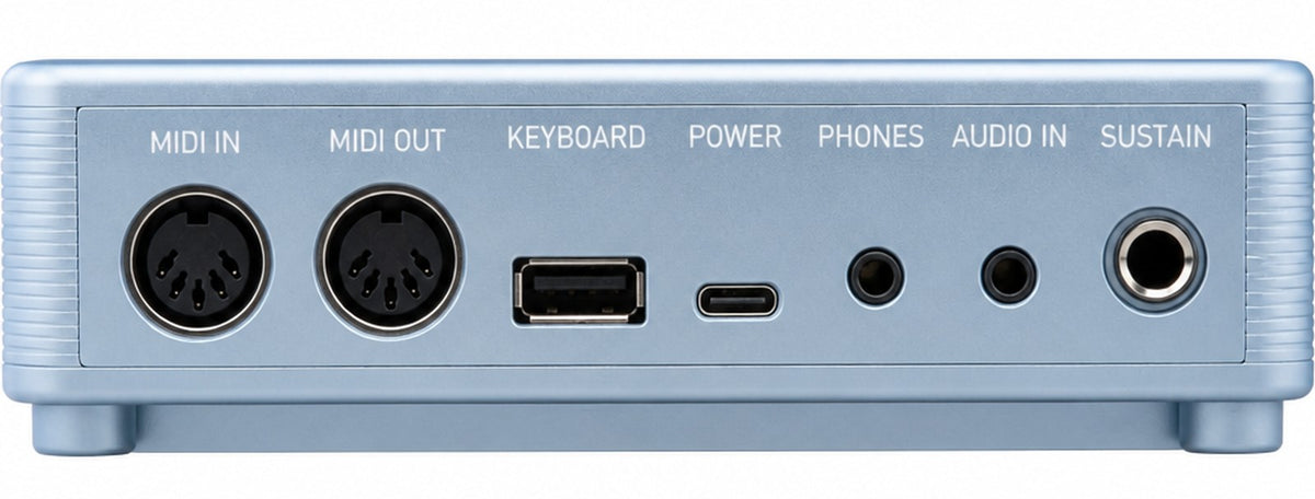 The RK-1 rear panel with every socket labelled: MIDI IN, MIDI OUT, KEYBOARD, POWER, PHONES, AUDIO IN, SUSTAIN